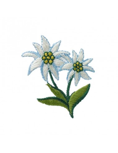 Applicatie, Patch, Strijkapplicatie: Edelweiss